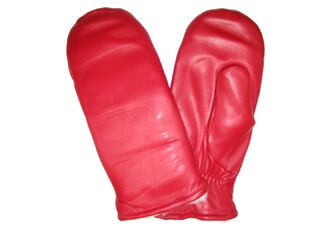 NAHKARUKKANEN 2634TCTP